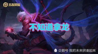 我是刺客你们不早说,原来你们不早说！