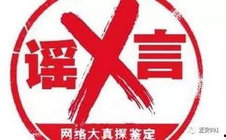 被拘留者001,身陷囹圄的真相与反思